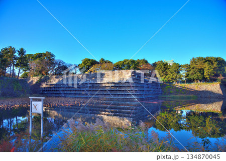 《愛知県》名古屋城天守閣と修復中の本丸搦手馬出の石垣 134870045