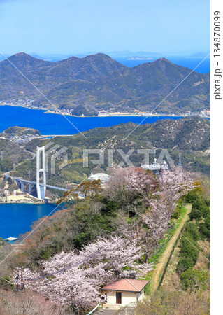 【愛媛県】ゆめしま海道と積善山三千本桜（岩城橋と生名橋と弓削大橋） 134870099