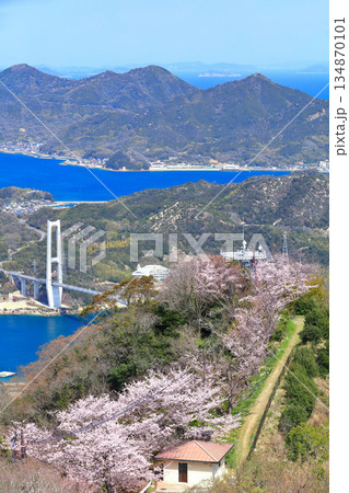 【愛媛県】ゆめしま海道と積善山三千本桜(岩城橋と生名橋と弓削大橋) 【愛媛県】ゆめしま海道と積善山三千本桜(岩城橋と生名橋と弓削大橋) 134870101