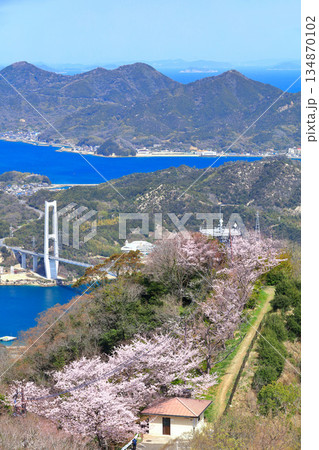 【愛媛県】ゆめしま海道と積善山三千本桜(岩城橋と生名橋と弓削大橋) 【愛媛県】ゆめしま海道と積善山三千本桜(岩城橋と生名橋と弓削大橋) 134870102