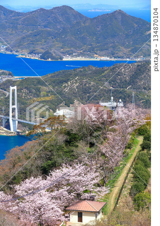 【愛媛県】ゆめしま海道と積善山三千本桜(岩城橋と生名橋と弓削大橋) 【愛媛県】ゆめしま海道と積善山三千本桜(岩城橋と生名橋と弓削大橋) 134870104