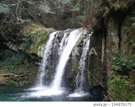 河津七滝の初景滝（静岡：河津町） 134870175