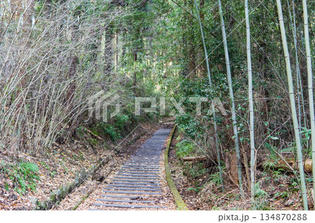 埼玉県：金鑚御嶽城跡／階段と石垣がある風景／神川町 134870288