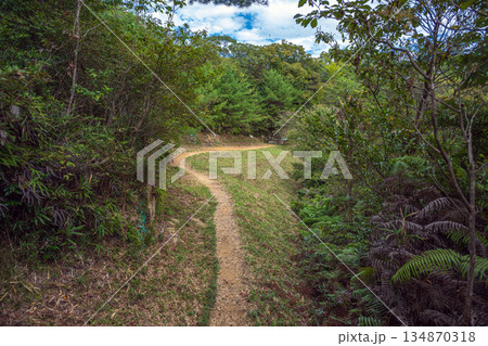 岡山 鬼ノ城 城内の遊歩道 岡山 鬼ノ城 城内の遊歩道 134870318