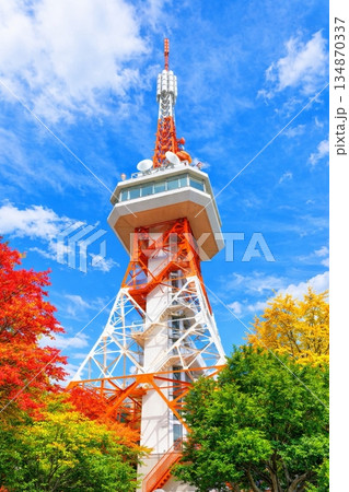 宇都宮タワーと紅葉 134870337