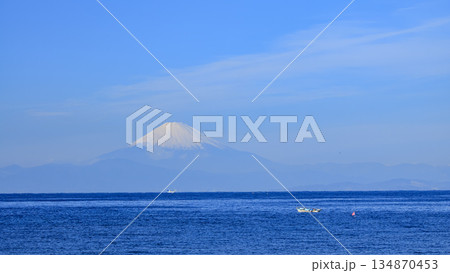 三浦半島の黒崎の鼻と三戸浜と富士山 134870453