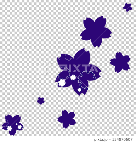 紫色の雪輪の飾りがついたたくさんの桜 134870607