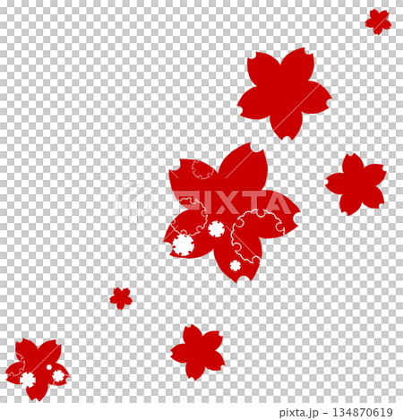 赤色の雪輪の飾りがついたたくさんの桜 赤色の雪輪の飾りがついたたくさんの桜 134870619