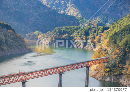 川根本町の秋の奥大井湖上駅の風景(静岡県) 134870977