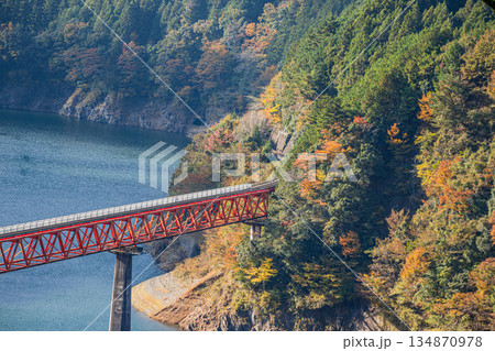 川根本町の秋の奥大井湖上駅の風景(静岡県) 川根本町の秋の奥大井湖上駅の風景(静岡県) 134870978