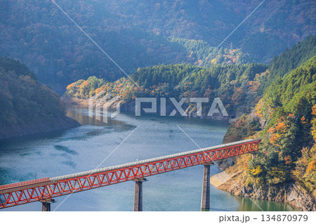 川根本町の秋の奥大井湖上駅の風景(静岡県) 134870979