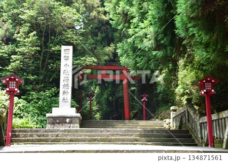 箱根町　箱根神社第三鳥居前と参道 134871561