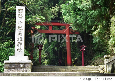 箱根町　箱根神社第三鳥居前と参道 134871562