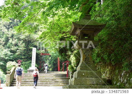 箱根町　箱根神社第三鳥居前と参道と参拝者 134871563