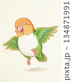 クレヨンで描いた跳ねるシロハラインコ 134871991