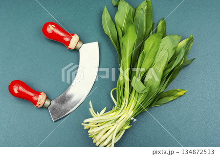 Assortment of Medicinal Herbs 134872513