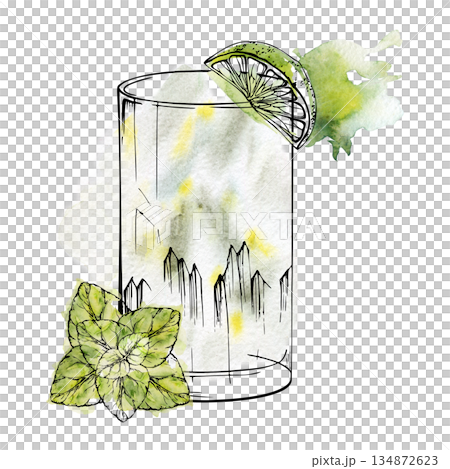Sparkling Mojito cocktail, clear soda water fizz in highball glass, fresh mint leaves and lime wedge garnish. Ink and watercolor hand drawn illustration for bar menus, wrapping paper, invitations. 134872623