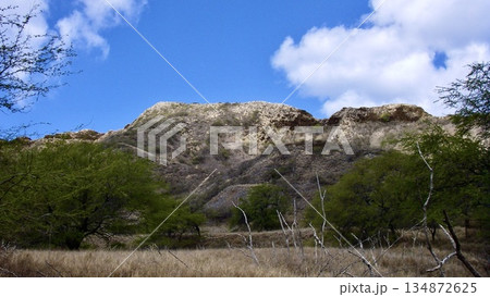 アメリカのハワイのダイヤモンドヘッドの風景 134872625