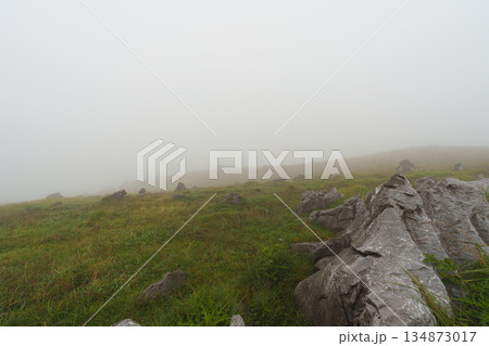 霧に覆われる四国カルスト 134873017