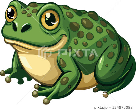 Big green toad smiling and resting on white background 134873088