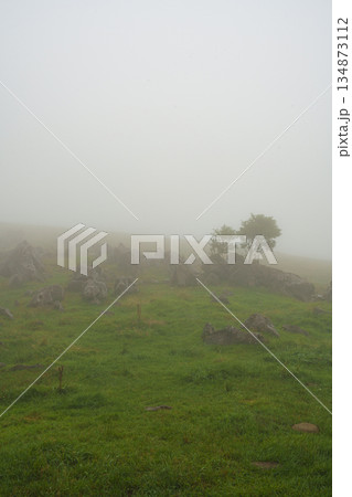 霧中の四国カルスト 134873112