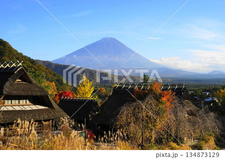 ススキの原の茅葺民家と紅葉したススキ 11月富士山1101茅葺き屋根群・根場 ススキの原の茅葺民家と紅葉したススキ 11月富士山1101茅葺き屋根群・根場 134873129