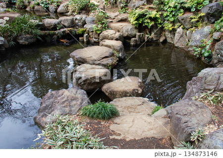 殿ヶ谷戸庭園 池に設けられた飛び石と自然石の庭園風景 殿ヶ谷戸庭園 池に設けられた飛び石と自然石の庭園風景 134873146