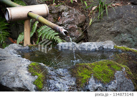 殿ヶ谷戸庭園 竹の水口から水が注がれる石の手水鉢 134873148
