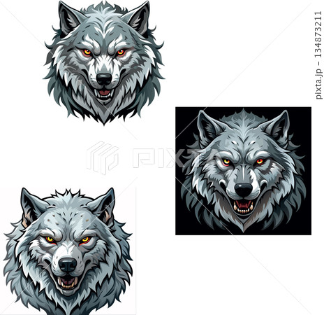 Angry grey wolf head snarling showing teeth 134873211