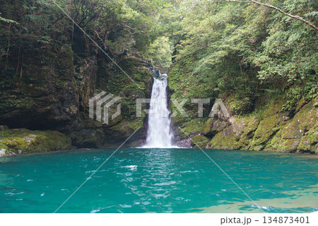 エメラルドグリーンに輝く美しい滝 134873401