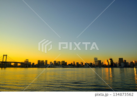 有明北緑道公園 黄金色のレインボーブリッジの夕景 有明北緑道公園 黄金色のレインボーブリッジの夕景 134873562