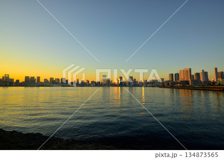 有明北緑道公園 黄金色のレインボーブリッジの夕景 有明北緑道公園 黄金色のレインボーブリッジの夕景 134873565