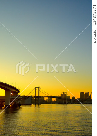 有明北緑道公園 黄金色のレインボーブリッジの夕景 有明北緑道公園 黄金色のレインボーブリッジの夕景 134873571