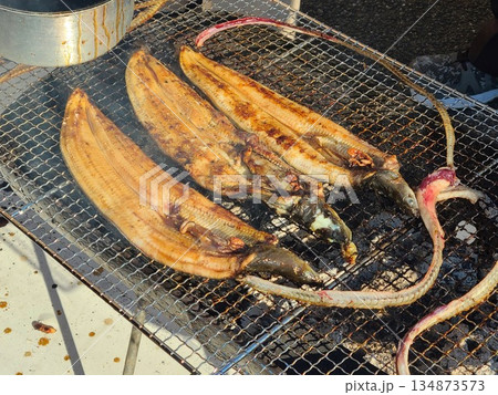 天然ウナギのかば焼き実演販売 134873573