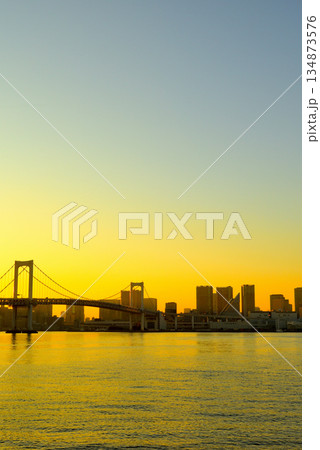 有明北緑道公園 黄金色のレインボーブリッジの夕景 有明北緑道公園 黄金色のレインボーブリッジの夕景 134873576