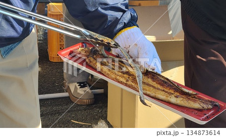 天然ウナギのかば焼き実演販売 天然ウナギのかば焼き実演販売 134873614