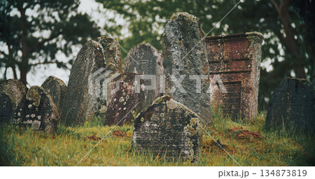 Old ancient Jewish cemetery in summer spring day. green grass an 134873819