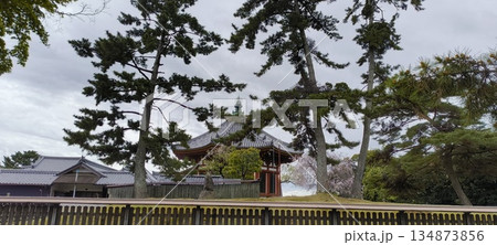 興福寺の南円堂 134873856