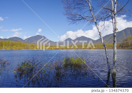 奥日光・秋の小田代ヶ原 134874370