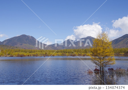 奥日光・秋の小田代ヶ原 134874374