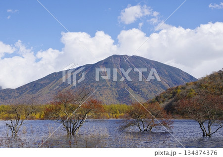 奥日光・秋の小田代ヶ原 奥日光・秋の小田代ヶ原 134874376