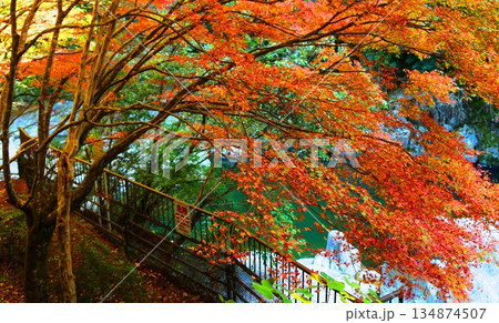 雄淵雌渕公園の紅葉 134874507
