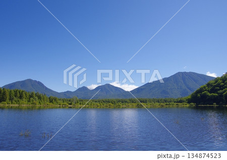 奥日光・夏の小田代ヶ原 134874523