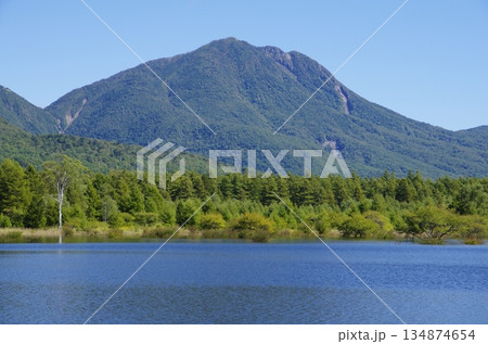 奥日光・夏の小田代ヶ原 134874654