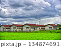 【群馬】伊勢崎　住宅と田畑 134874691