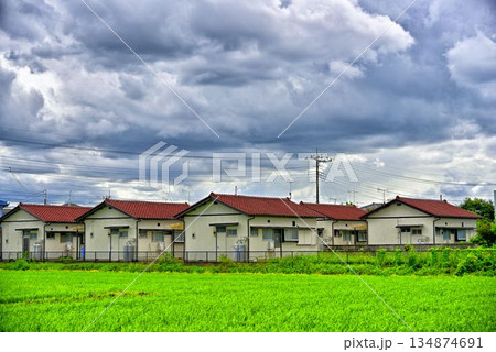 【群馬】伊勢崎　住宅と田畑 134874691