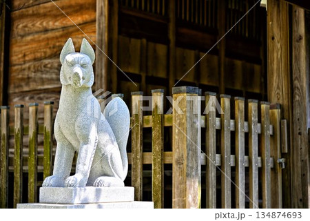 【神奈川】横須賀　諏訪神社の狛狐 134874693