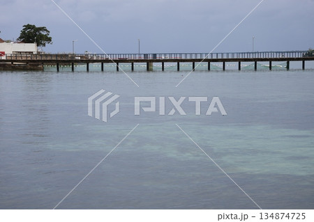 桟橋ときれいな色の海と空のセブ島の風景 桟橋ときれいな色の海と空のセブ島の風景 134874725