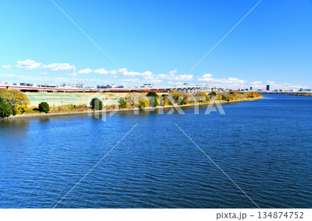 扇大橋／荒川より下流／西新井橋方向を望む(東京都足立区)【2025.12】 134874752