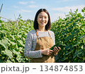 キュウリガール　農業女子 134874853